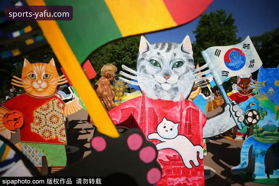 亚富体育注册教程 揭秘舒尔茨绝杀背后:捷克足球20年重生之路与宠物猫的世界杯之旅